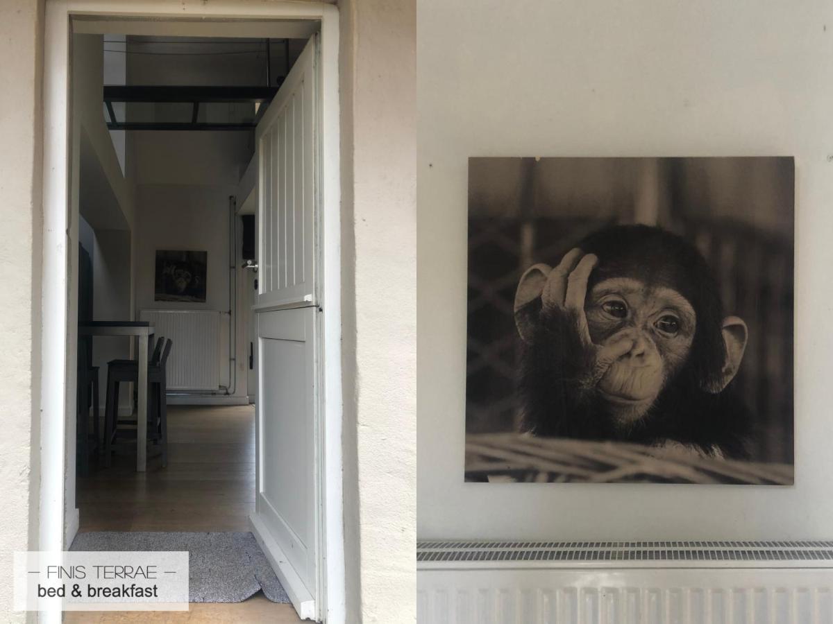 Appartement Aan Puyenbroeck Wachtebeke Dış mekan fotoğraf